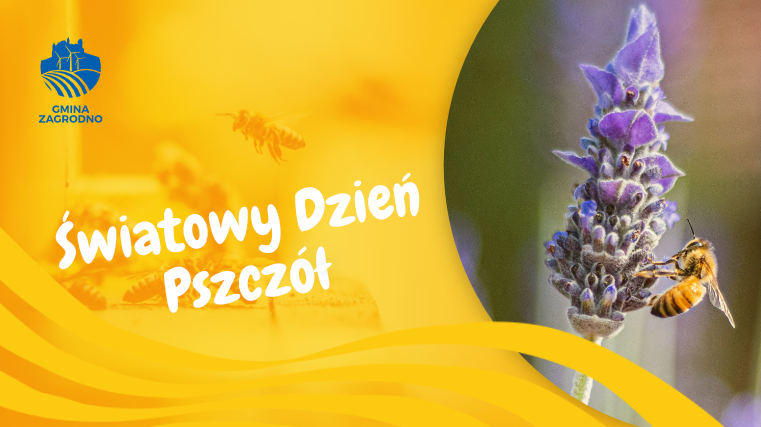 światowy dzień pszczół