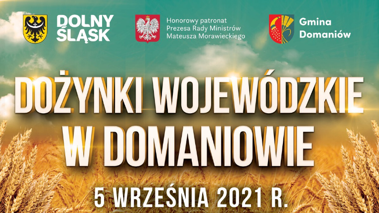 dożynki wojewódzkie w domaniowie