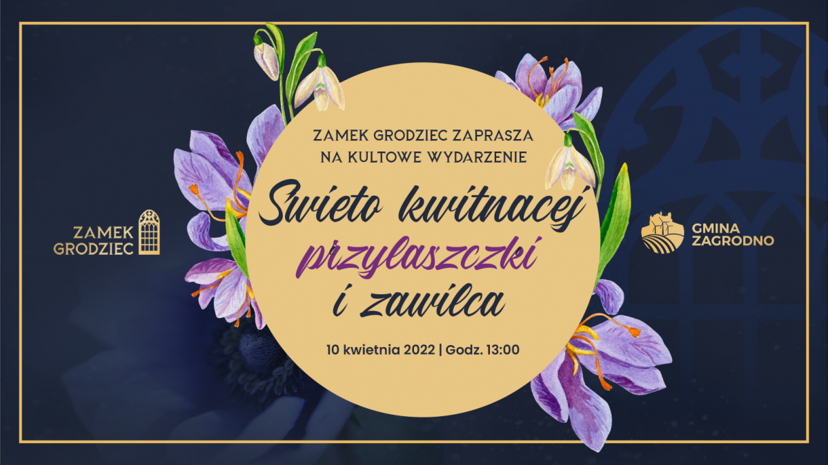 święto kwitnącej przylaszczki i zawilca 10 kwietnia zamek grodziec